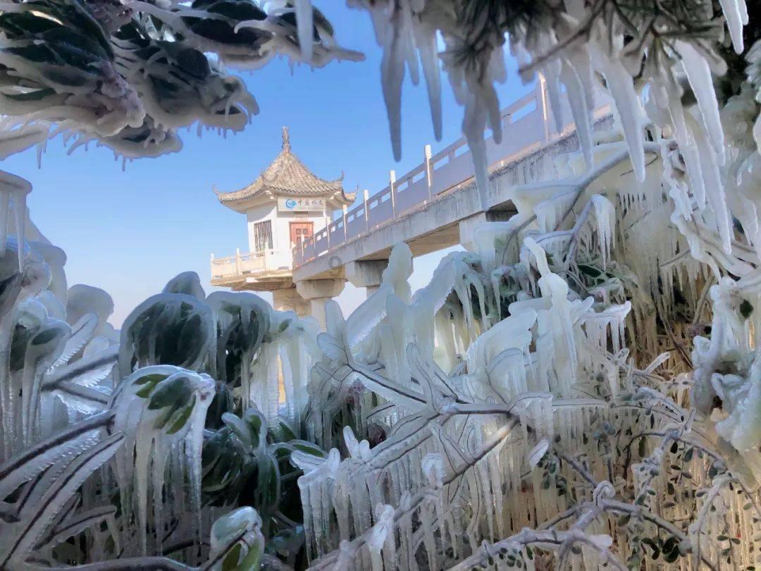 逃离森林湖畔