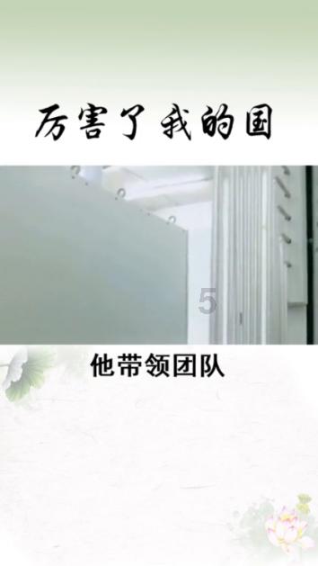 小猫钓鱼游戏龙王版有船